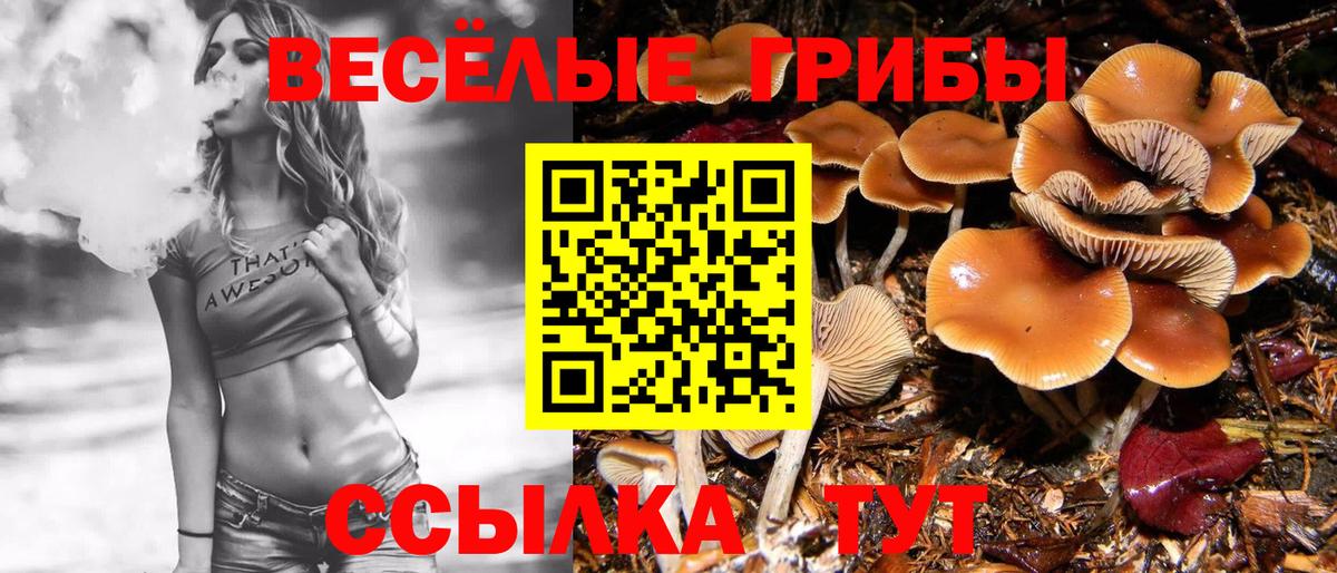 Галлюциногенные грибы Cubensis  Вход с VPN  Ачинск  Псилоцибиновые грибы Psilocybe 
